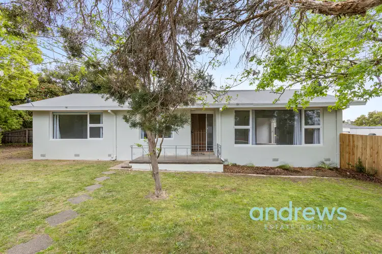 2 Walpole Avenue, Belmont VIC 3216