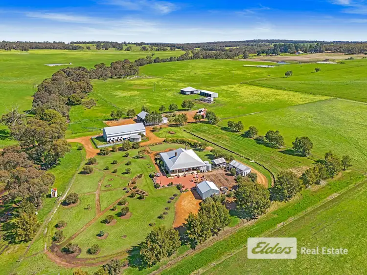 Third view of Homely rural property listing, 101 Riches Road, Mount Barker WA 6324