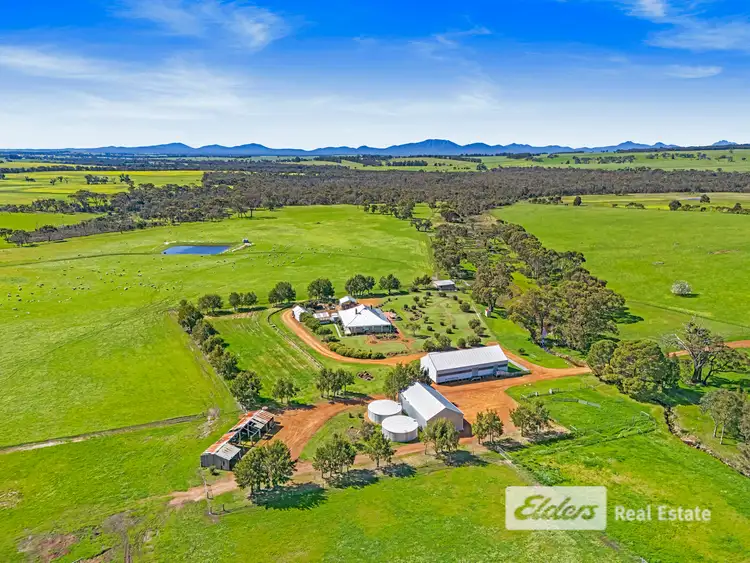 Fourth view of Homely rural property listing, 101 Riches Road, Mount Barker WA 6324