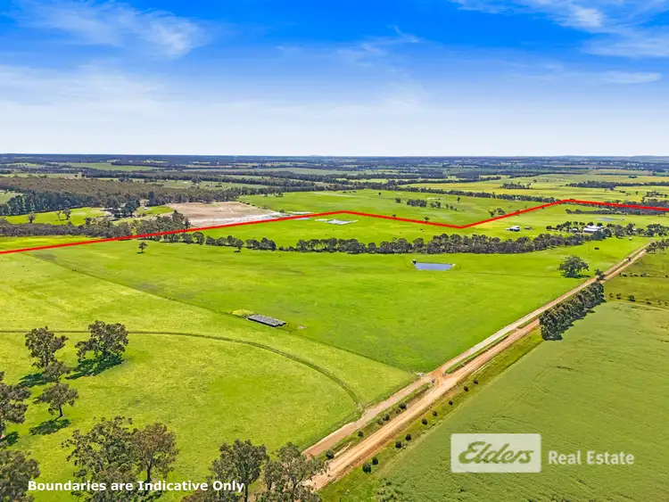Seventh view of Homely rural property listing, 101 Riches Road, Mount Barker WA 6324