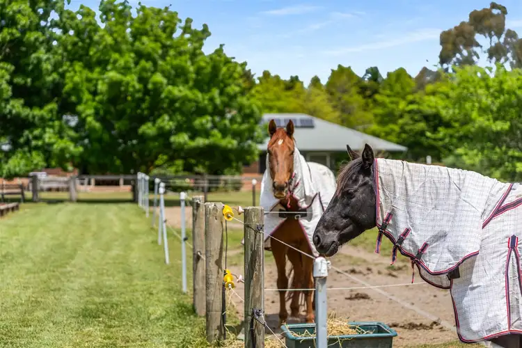 Third view of Homely rural property listing, 5980 Illawarra Highway, Avoca NSW 2577