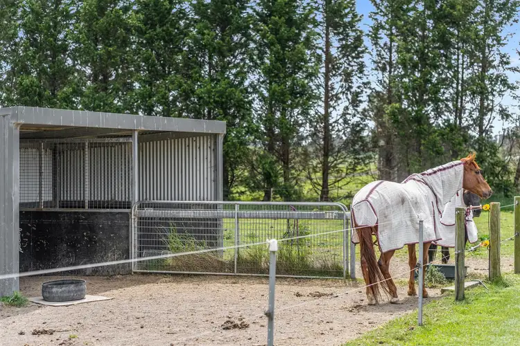 Sixth view of Homely rural property listing, 5980 Illawarra Highway, Avoca NSW 2577