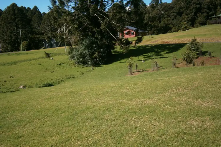 Sixth view of Homely land listing, LOT 27 Firefly Drive, Bunya Mountains QLD 4405