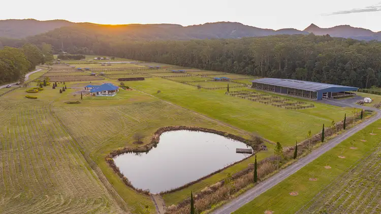135 Burtons Road, Bridges QLD 4561