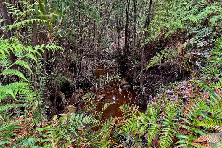 Sixth view of Homely rural property listing, 678 Baxters Road, Karatta SA 5223