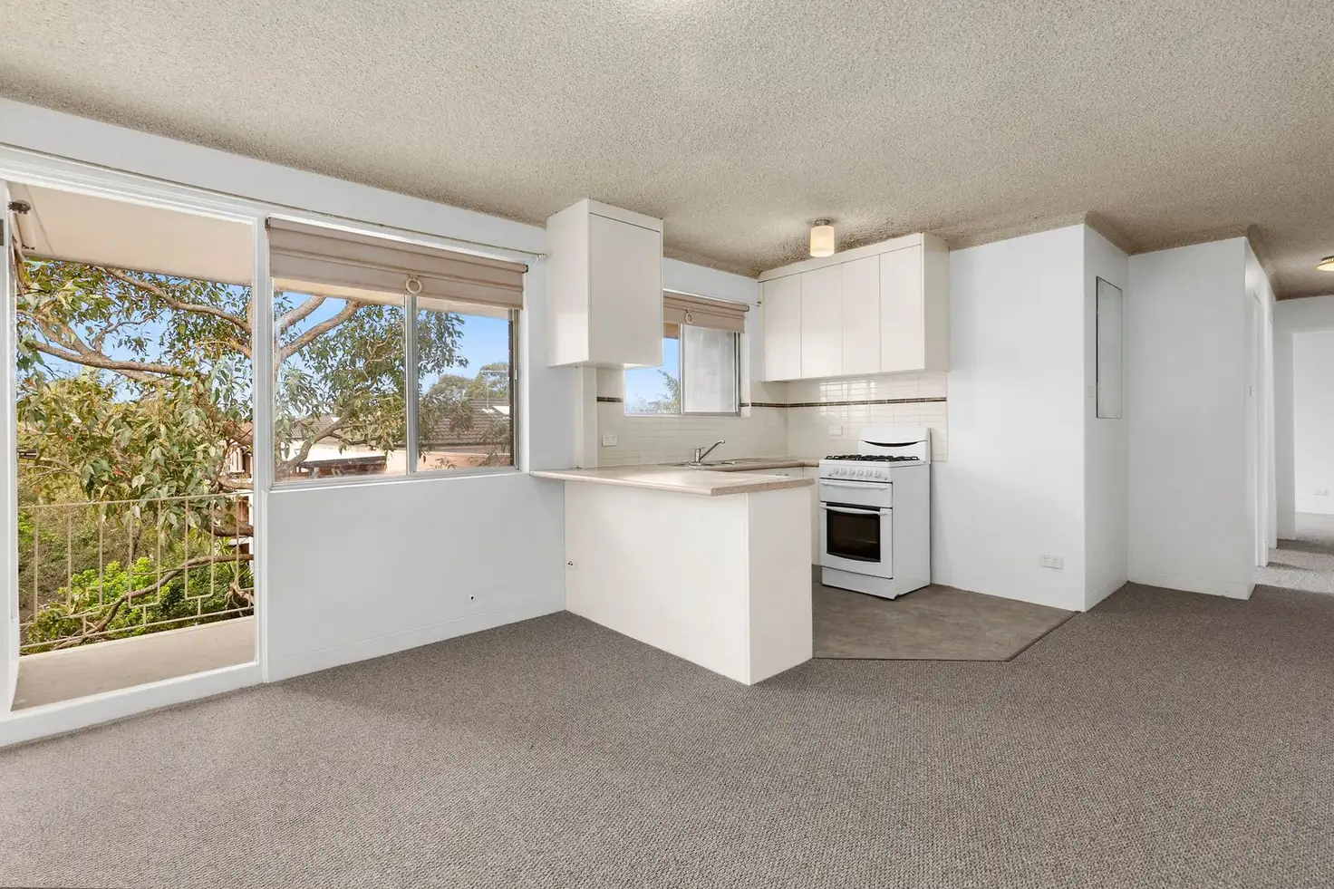 Main view of Homely unit listing, 11/50 Howard Avenue, Dee Why NSW 2099