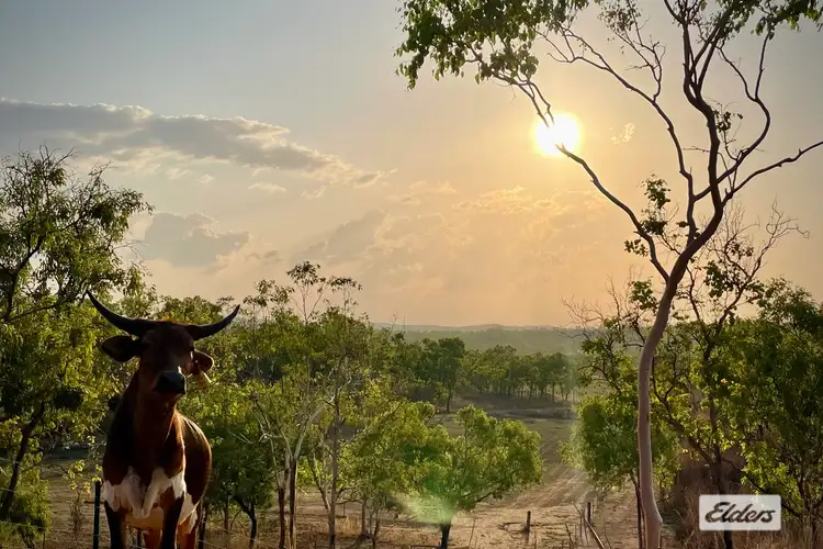 Third view of Homely rural property listing, 7783 Stuart Highway, Adelaide River NT 846