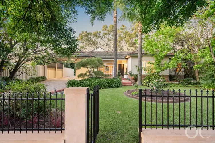 3 Hextall Avenue, Tranmere SA 5073