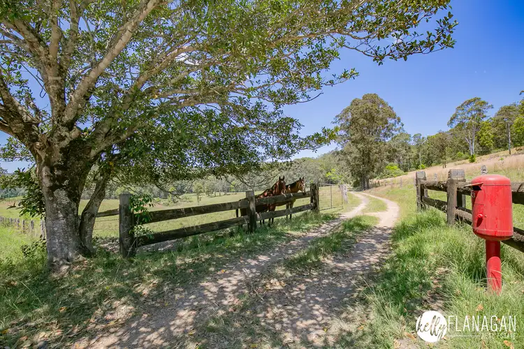 Fourth view of Homely rural property listing, 943 Dungay Creek Road, Wittitrin NSW 2440