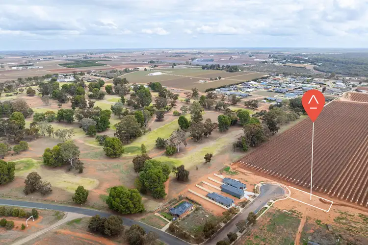 10 Carrazza Court, Robinvale VIC 3549