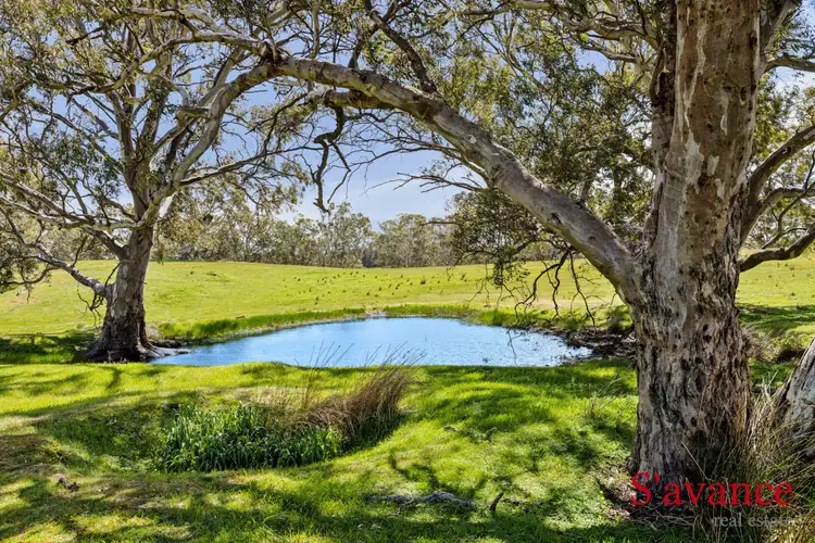 LOT 109 Corner Tungkillo & Seager Road, Mount Pleasant SA 5235