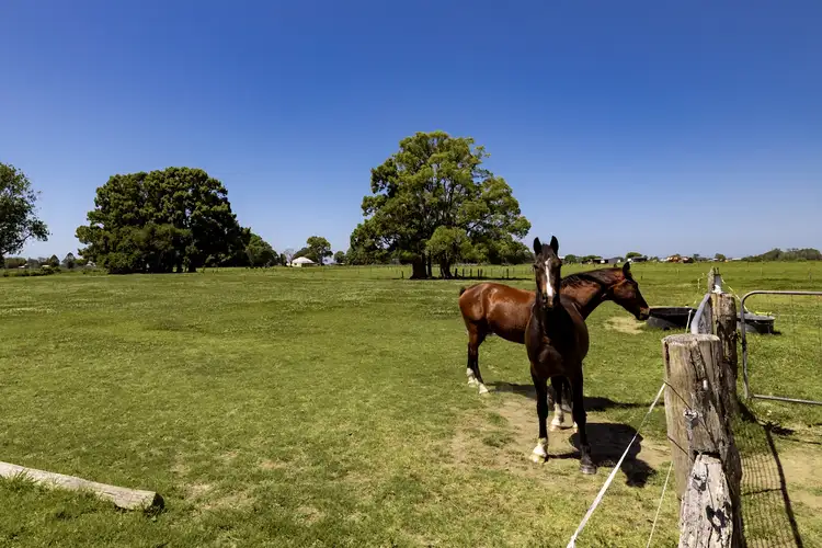 Third view of Homely house listing, 1076 Macleay Valley Way, Bellimbopinni NSW 2440