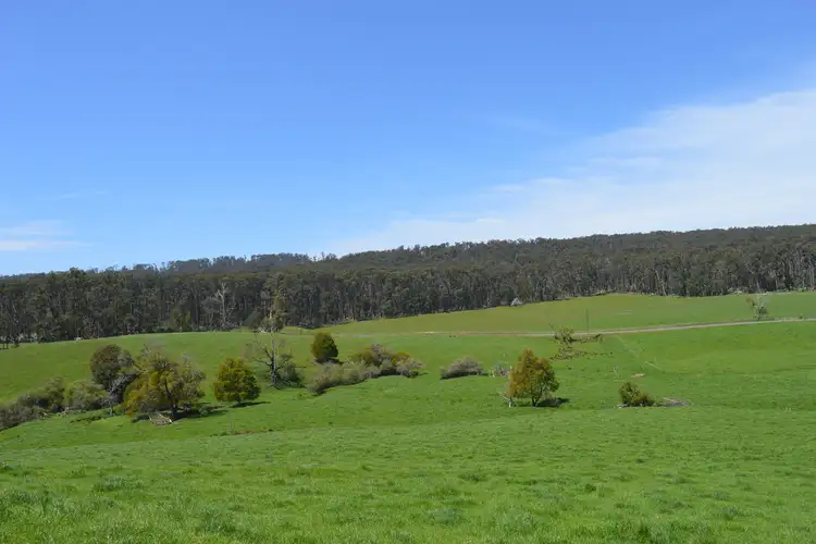 Third view of Homely rural property listing, 365 Limonite Road, Boolarra South VIC 3870