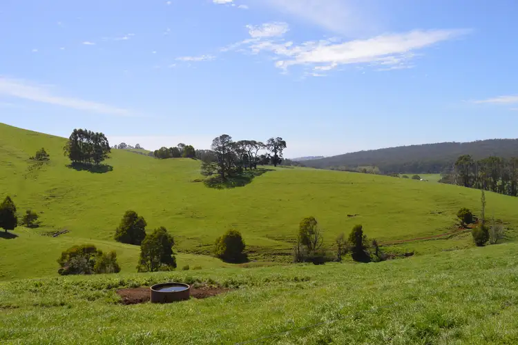 Fourth view of Homely rural property listing, 365 Limonite Road, Boolarra South VIC 3870