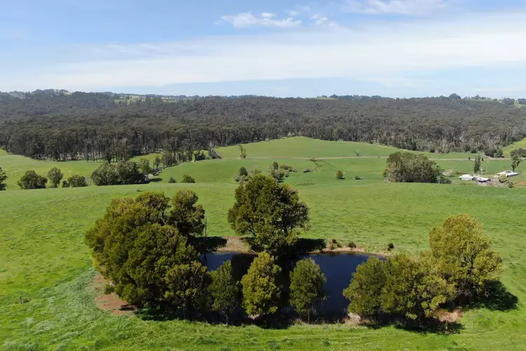 Sixth view of Homely rural property listing, 365 Limonite Road, Boolarra South VIC 3870