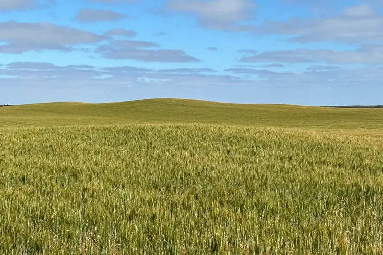 163 McAskill Road, Karkoo SA 5632