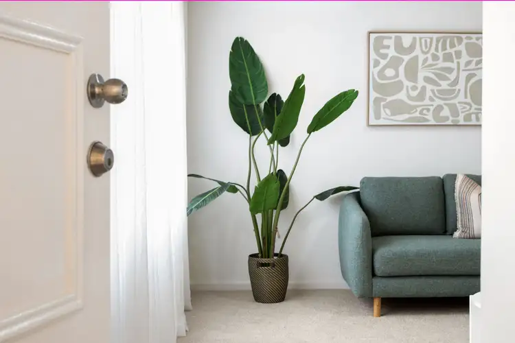 Third view of Homely unit listing, 2/20 Freeman Avenue, Tranmere SA 5073