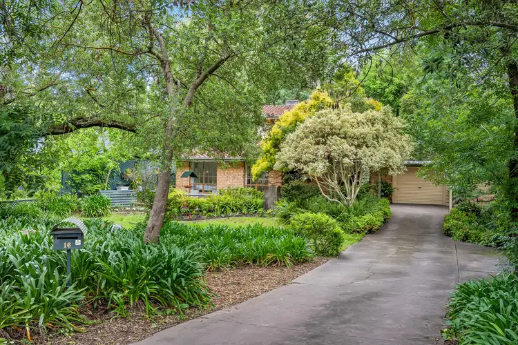 16 Brigalow Avenue