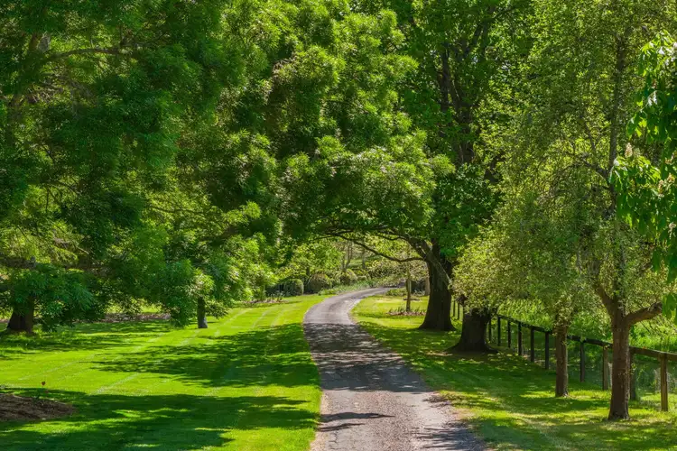 Fifth view of Homely rural property listing, 7361 Illawarra Highway, Sutton Forest NSW 2577