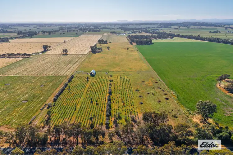 Fourth view of Homely land listing, 2986 Federation Way, Rutherglen VIC 3685