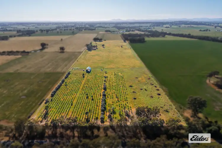 Sixth view of Homely land listing, 2986 Federation Way, Rutherglen VIC 3685