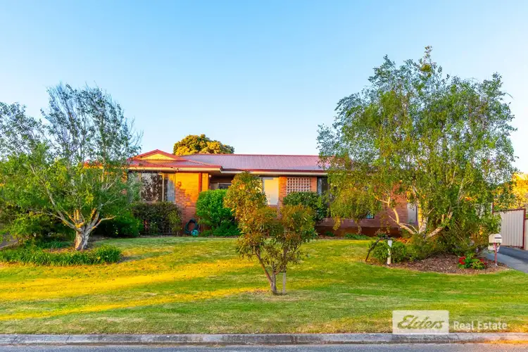 Third view of Homely house listing, 12 Baudin Place, Spencer Park WA 6330