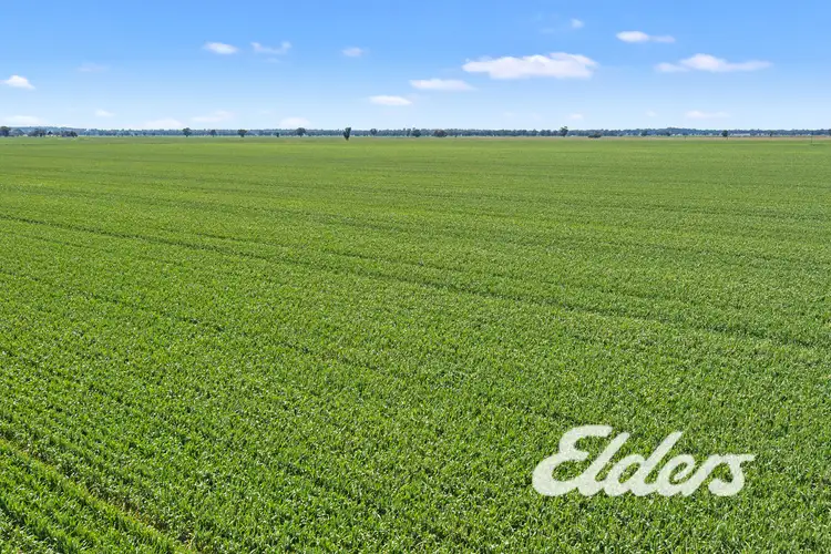 235 Clearview Road, Savernake NSW 2646