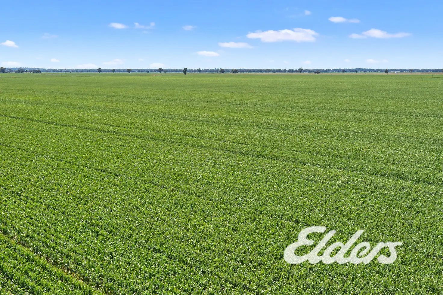 Main view of Homely rural property listing, 235 Clearview Road, Savernake NSW 2646