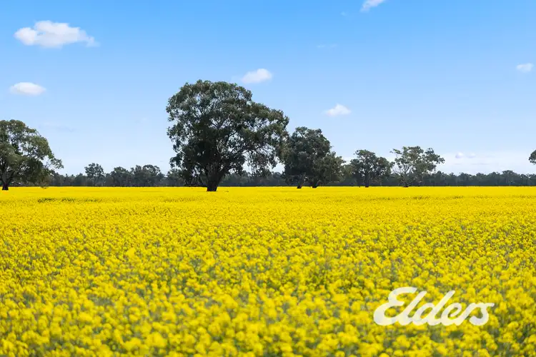 Second view of Homely rural property listing, 235 Clearview Road, Savernake NSW 2646