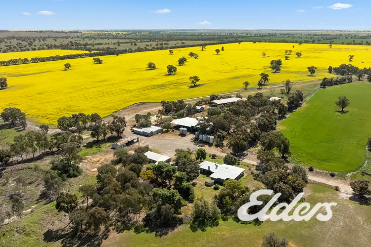 Third view of Homely rural property listing, 235 Clearview Road, Savernake NSW 2646