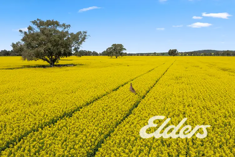 Fourth view of Homely rural property listing, 235 Clearview Road, Savernake NSW 2646