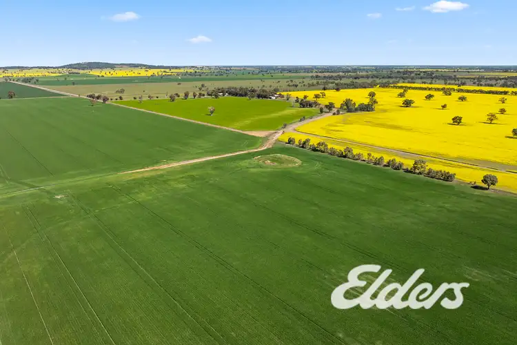 Fifth view of Homely rural property listing, 235 Clearview Road, Savernake NSW 2646