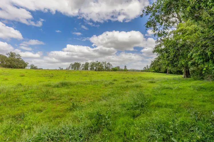 Fourth view of Homely rural property listing, 2335 The Bucketts Way, Booral NSW 2425