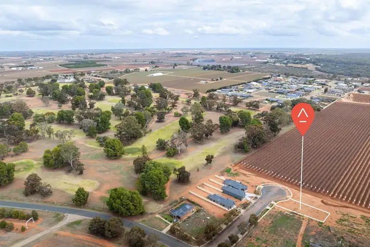 8 Carrazza Court, Robinvale VIC 3549