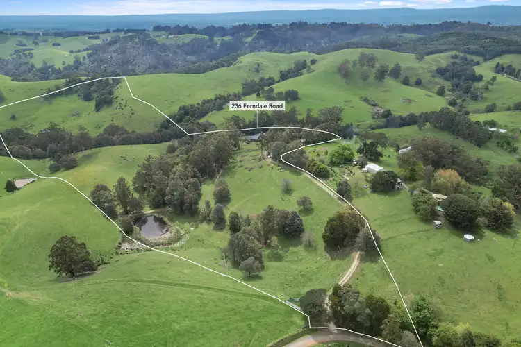 Second view of Homely rural property listing, 236 Ferndale Road, Ferndale VIC 3821