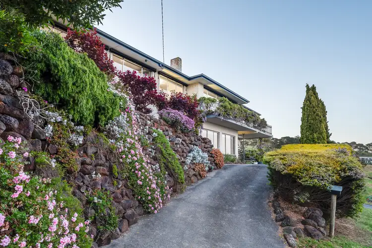 Second view of Homely house listing, 41 Challambra Crescent, Highton VIC 3216