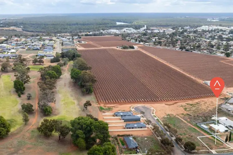 228 Latje Road, Robinvale VIC 3549