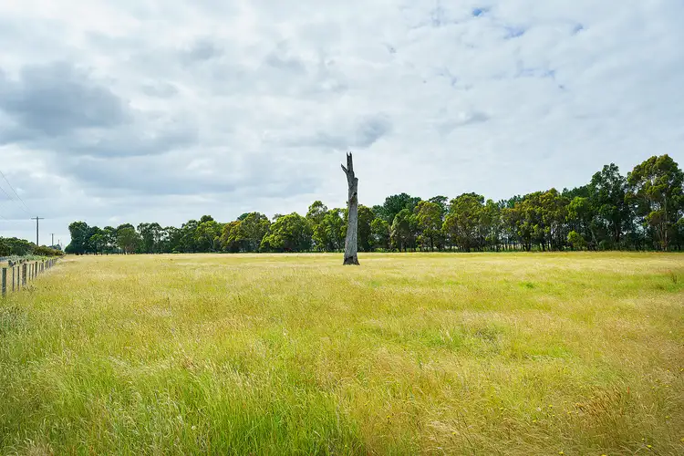 Seventh view of Homely rural property listing, LOT Lots 1&2 Princes Highway, Lucknow VIC 3875