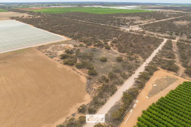 Fifth view of Homely rural property listing, Lot/ 1 Yatpool West Road, Red Cliffs VIC 3496