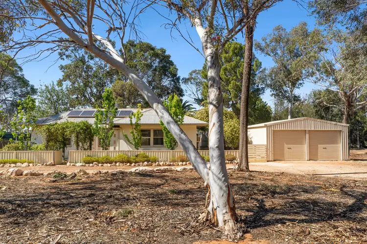 78 Derrick Road, Loxton SA 5333