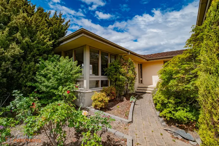 7 Wenholz Street, Farrer ACT 2607