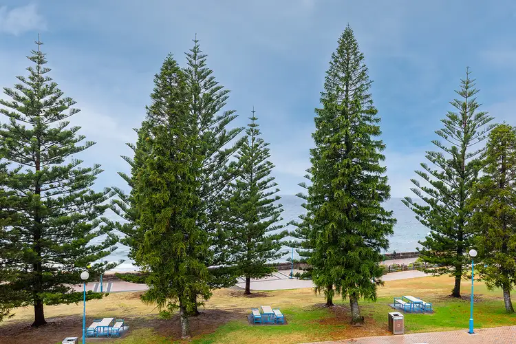 Fourth view of Homely apartment listing, 230 Arden Street, Coogee NSW 2034