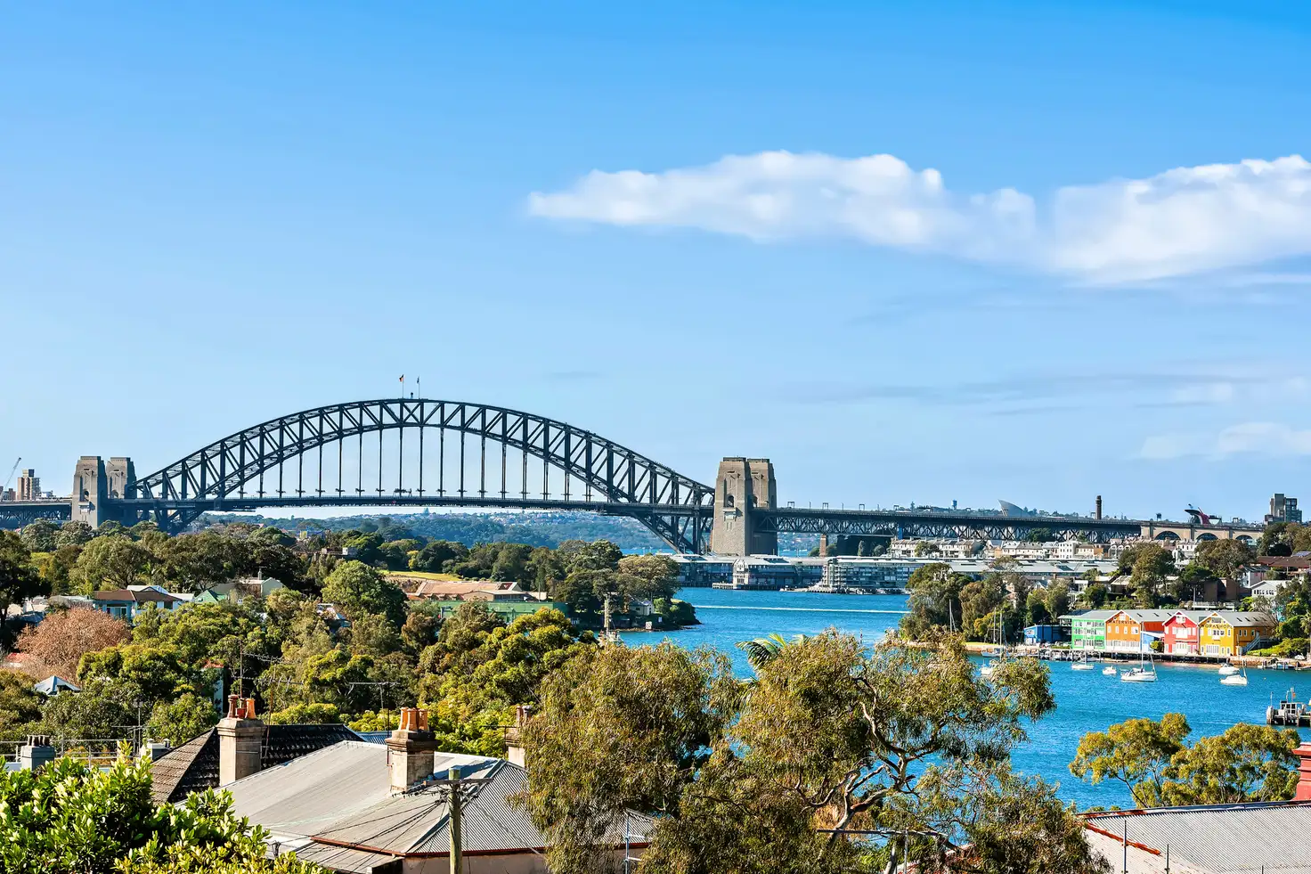 Main view of Homely house listing, 123 Rowntree Street, Birchgrove NSW 2041
