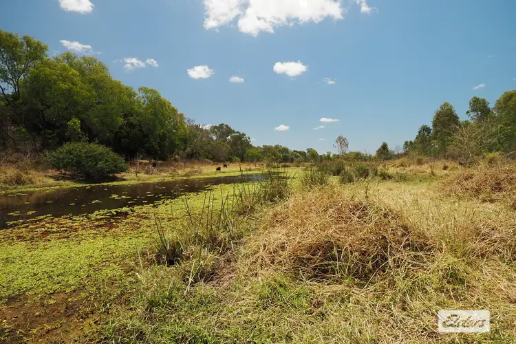 Second view of Homely rural property listing, 222 Edmistone Road, Pink Lily QLD 4702