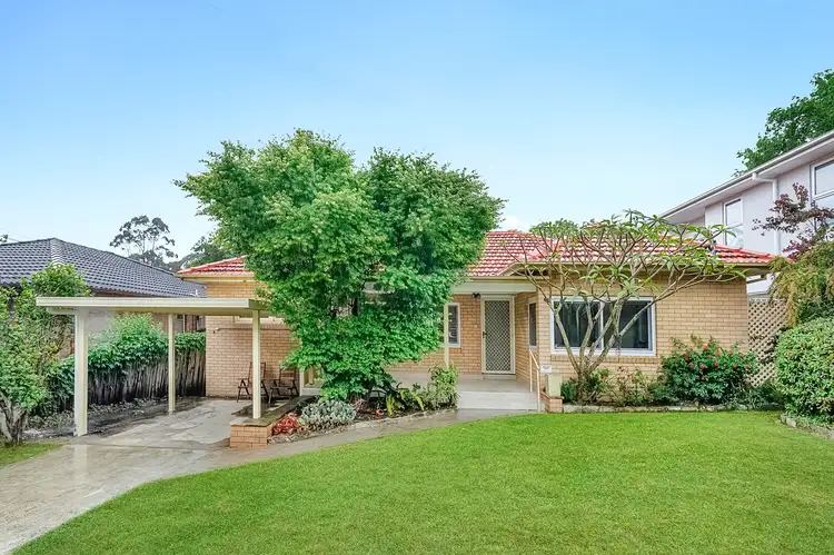 77 Clarke Road, Hornsby NSW 2077