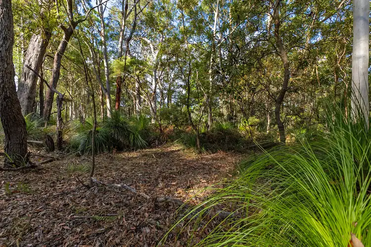 Second view of Homely land listing, 40 Lakewood Drive, Peregian Beach QLD 4573