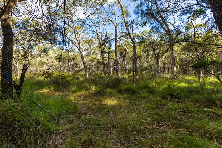 Third view of Homely land listing, 40 Lakewood Drive, Peregian Beach QLD 4573