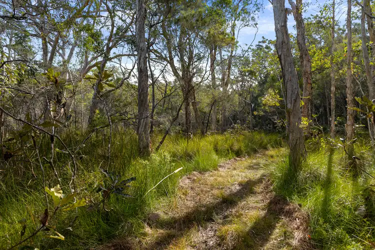 Sixth view of Homely land listing, 40 Lakewood Drive, Peregian Beach QLD 4573