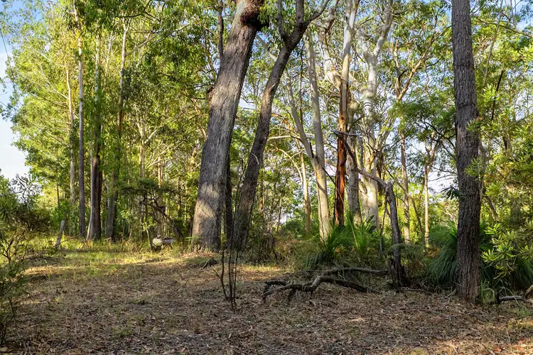 Seventh view of Homely land listing, 40 Lakewood Drive, Peregian Beach QLD 4573