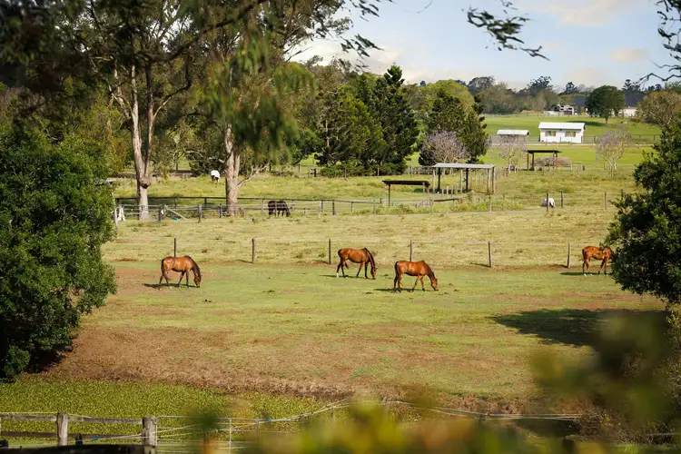 Fourth view of Homely rural property listing, 260 Priors Pocket Road, Moggill QLD 4070